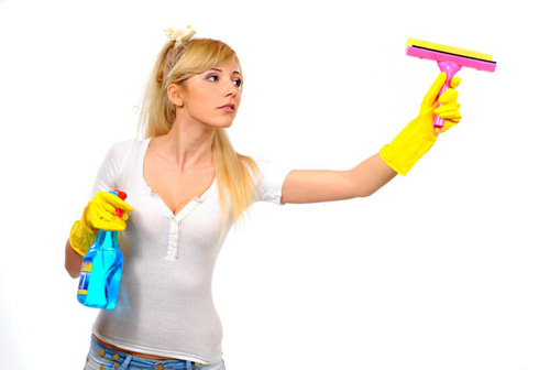 Professional cleaning company London